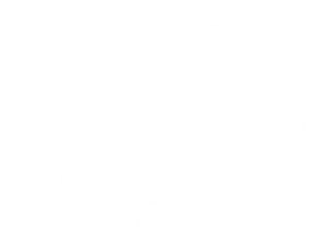 ally-logo-white | Ally Plans